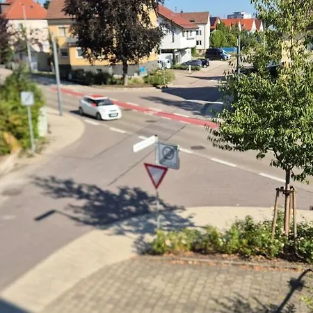 Ziegelwiesenstrasse דירה *